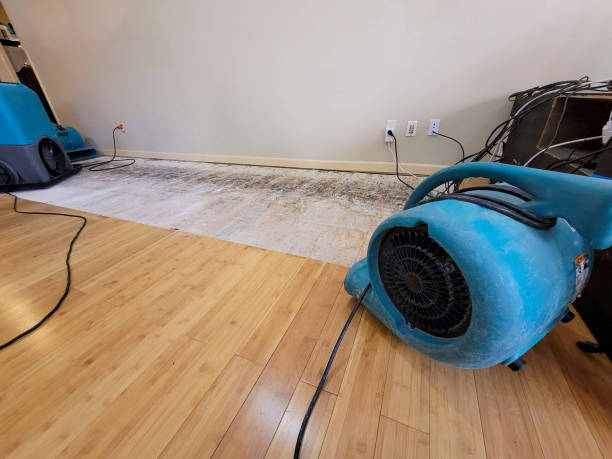 Professional Water Removal technician working in Methow, WA